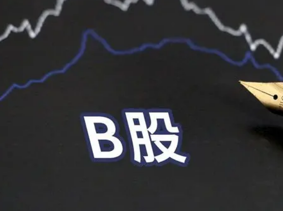 公司还与多个国际知名企业进行合作